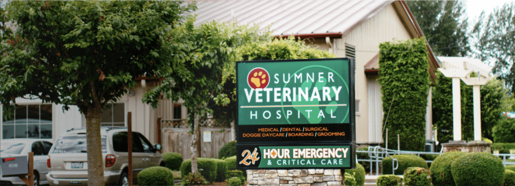 24/7 Emergency and Full-Service Animal Hospital in Sumner, WA 98390