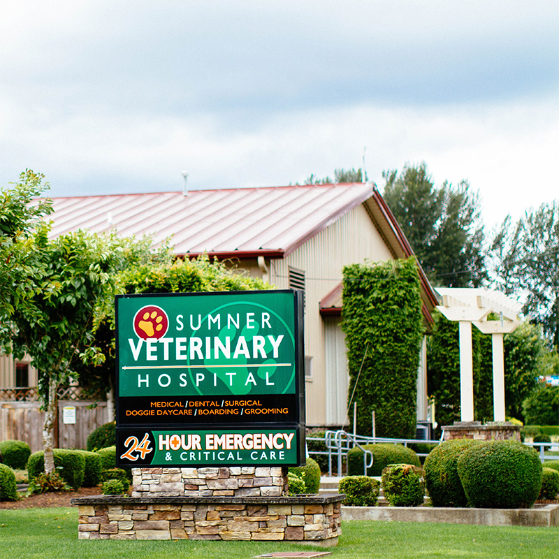 24/7 Emergency and Full-Service Animal Hospital in Sumner, WA 98390