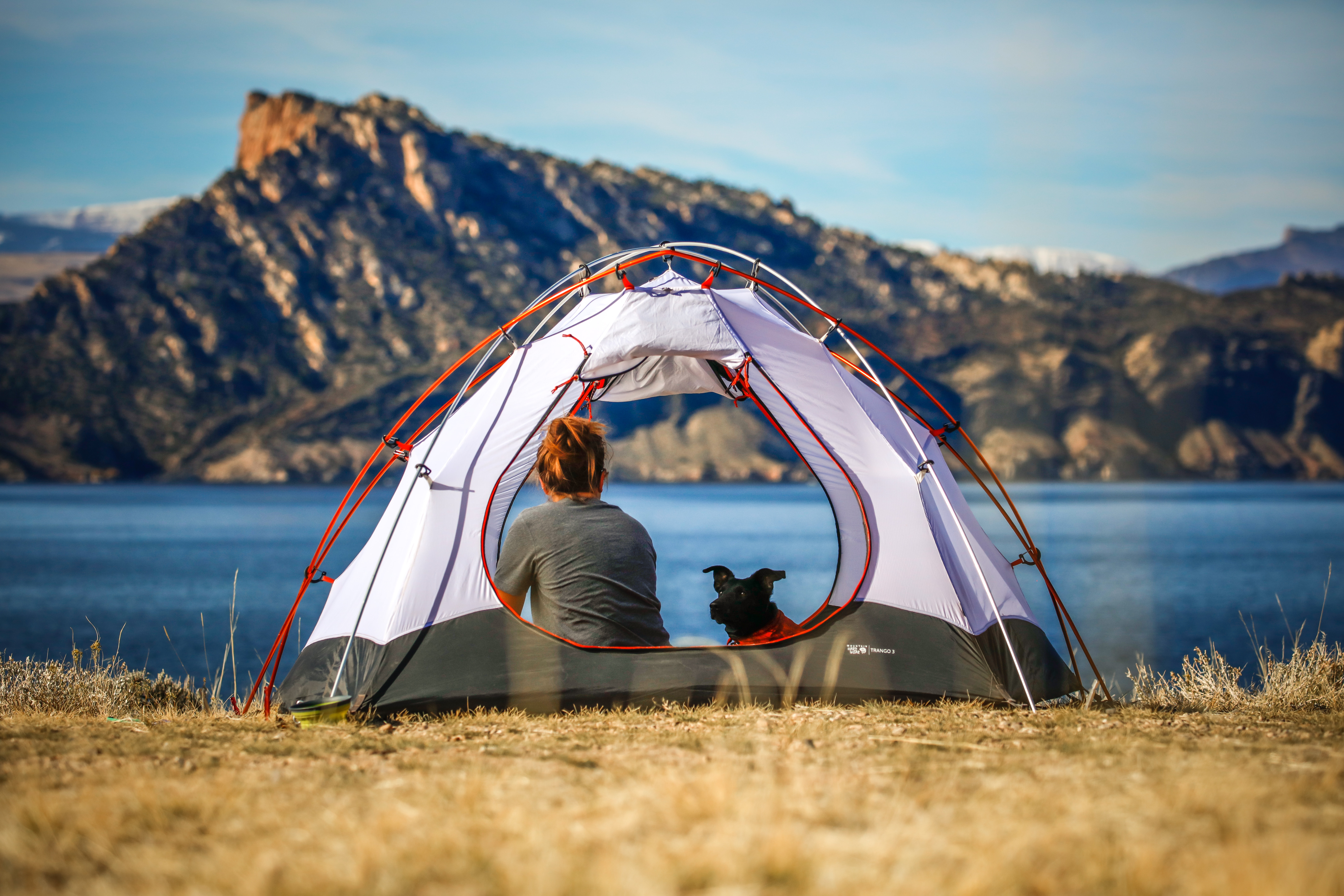 Leave No Trace Presents: How to Camp with Your Dog