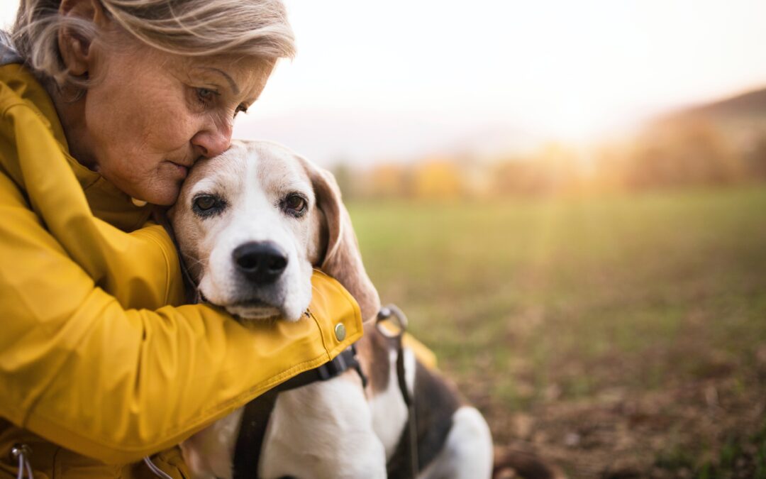 The Joys of Adopting a Senior Pet: A Compassionate Choice