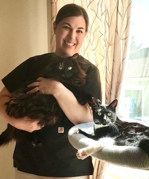 Dr. Heidi Kos