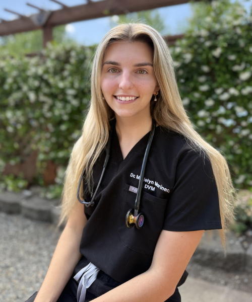 Dr. Butler